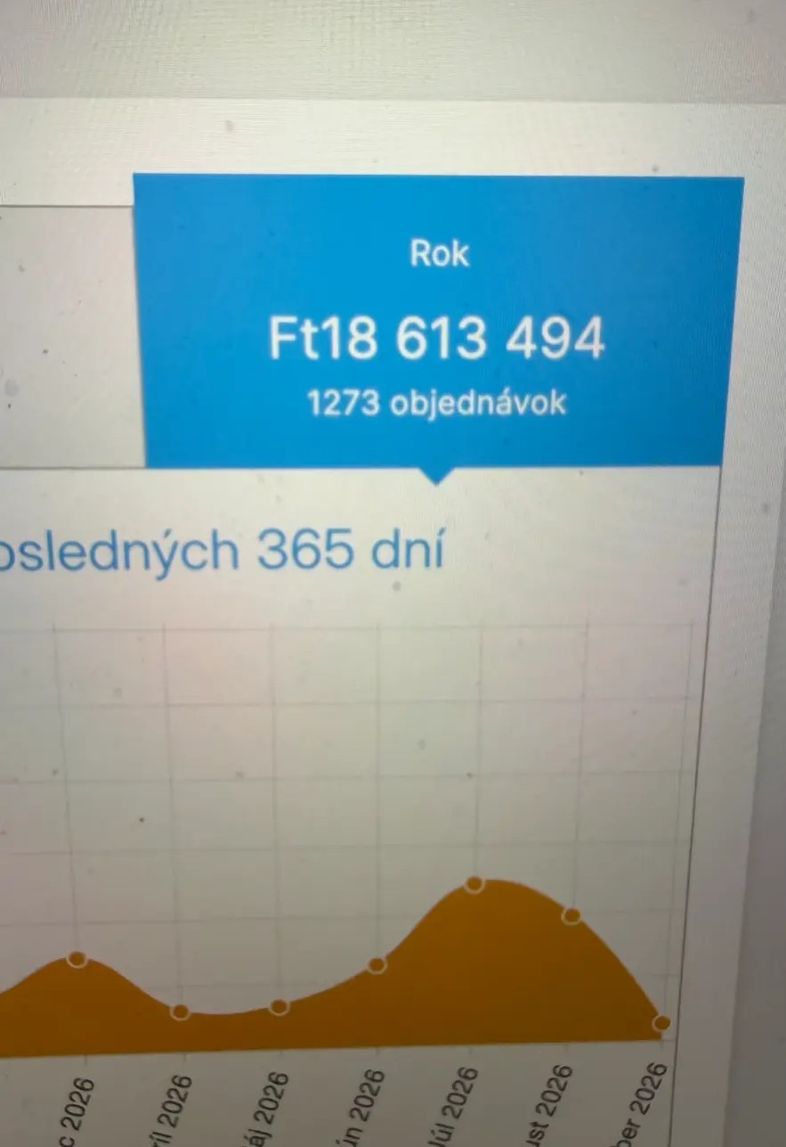 Reálne ročné výsledky e-shopu 3